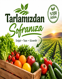 Left Banner